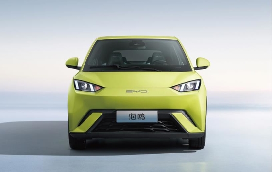 BYD Pure Electric 305KM компактный семейный автомобиль