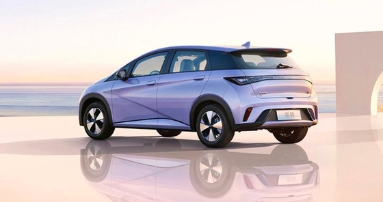 BYD Чистый электрический диапазон 401KM компактный популярный домашний автомобиль Дельфин