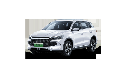 Чемпион по продажам 110 км превосходный гибрид BYD Song Pro Demi Champions Edition SUV