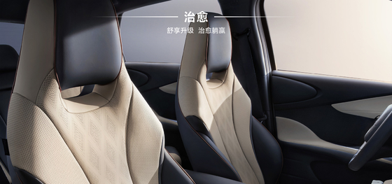 BYD 2025 Dolphin 520 км Knight Edition EV