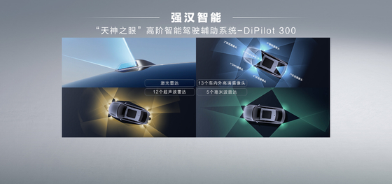 BYD Qin Plus DMI 102 км Лидирующее издание Славы