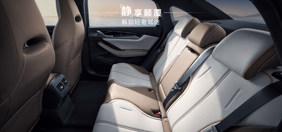 BYD Qin Plus DMI 102 км Лидирующее издание Славы