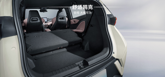 BYD Хайоу 2025 года 305 км