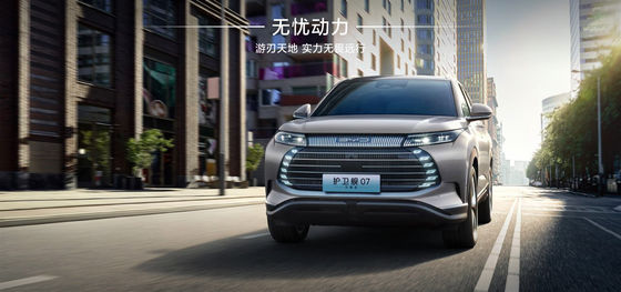 Фрегат BYD07 100 км элитного типа